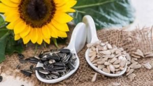 Sunflower seeds