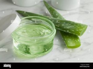 Aloe vera
