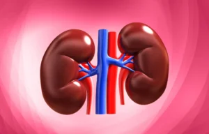 Affect of sugar on kidney 