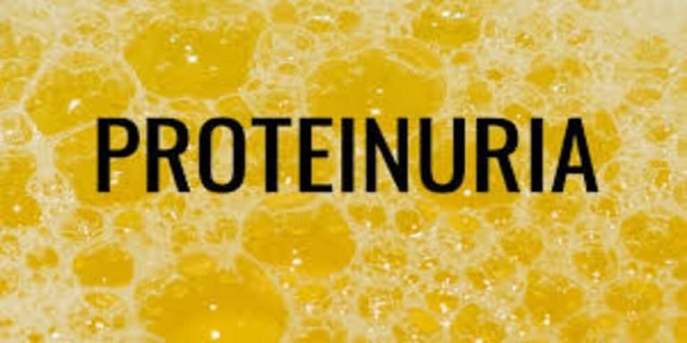 Proteinuria