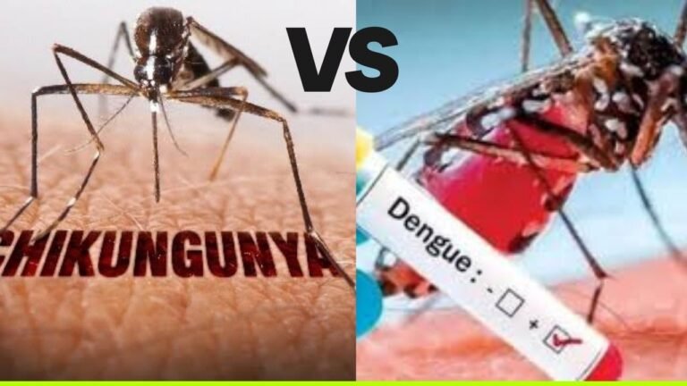 Chikungunea and Dengue